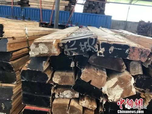 泗阳一木材加工厂现大量废弃棺木 官方回应 已完成清理 沸点